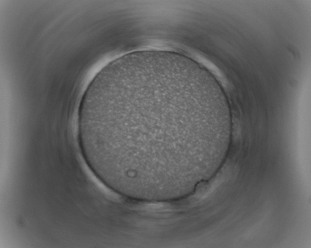 X0000113241479200910081248