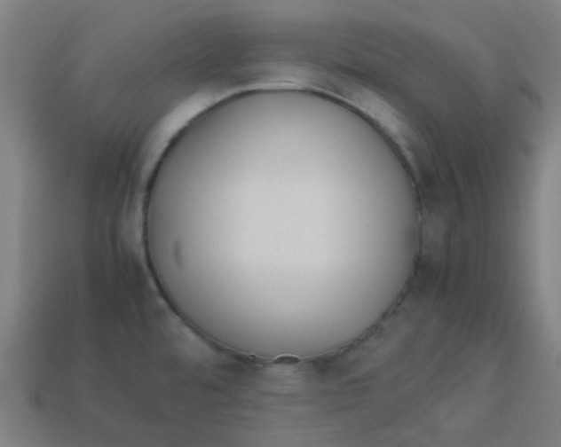 X0000113241480200910081248