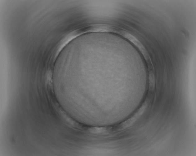 X0000113241481200910081248