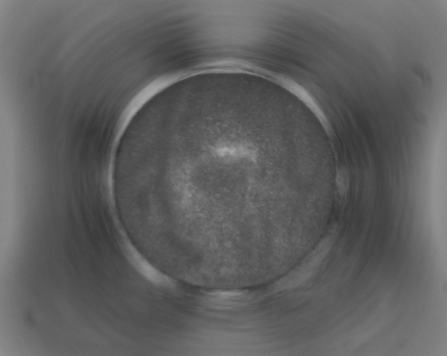 X0000113241482200910081248