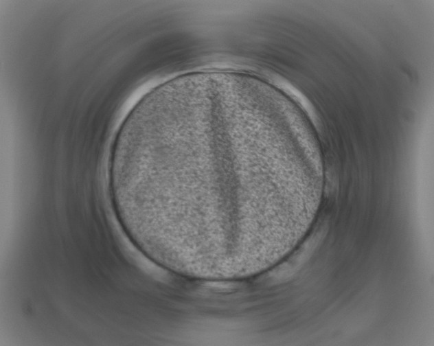 X0000113241483200910081248