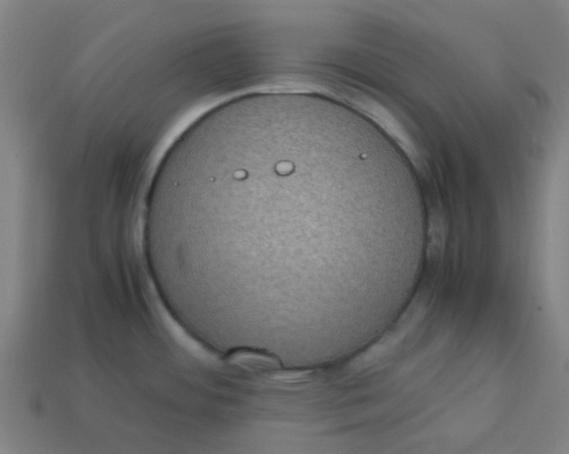 X0000113241484200910081248