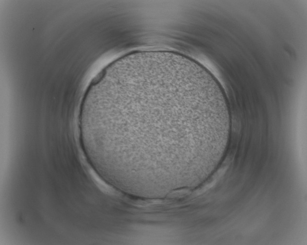 X0000113241485200910081248