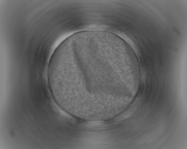 X0000113241486200910081248