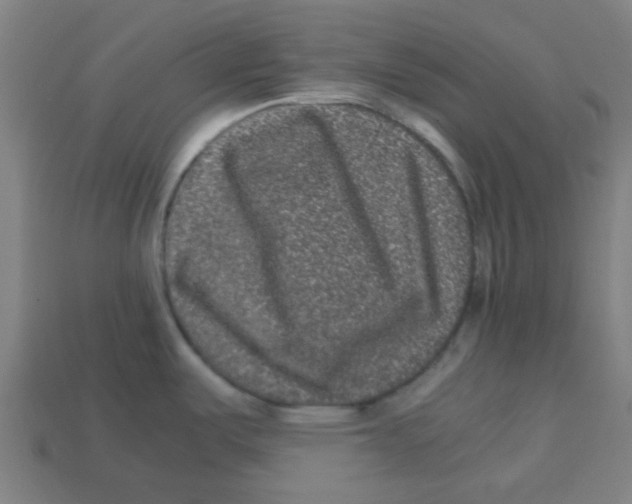 X0000113241487200910081248