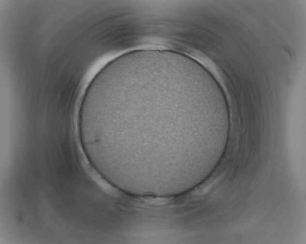 X0000113241488200910081248