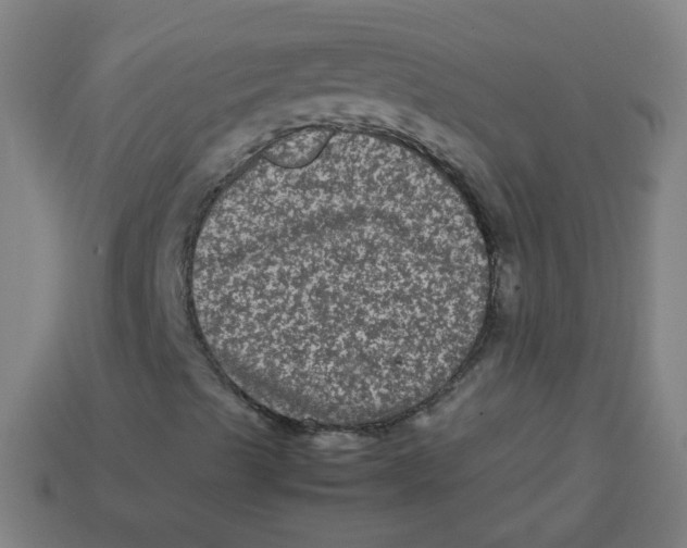 X0000113241489200910081247