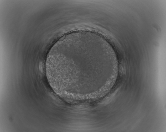 X0000113241490200910081247