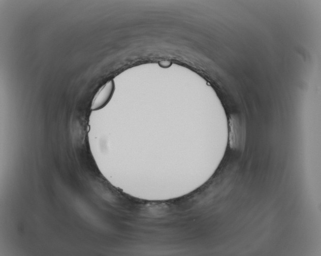 X0000113241491200910081247