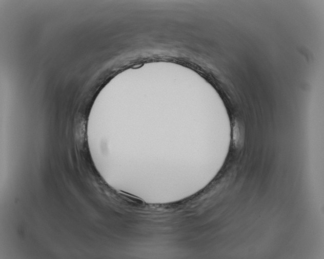 X0000113241492200910081247