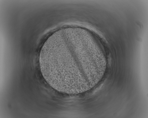 X0000113241494200910081247