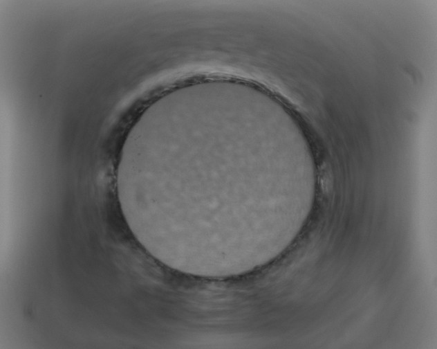 X0000113241495200910081247