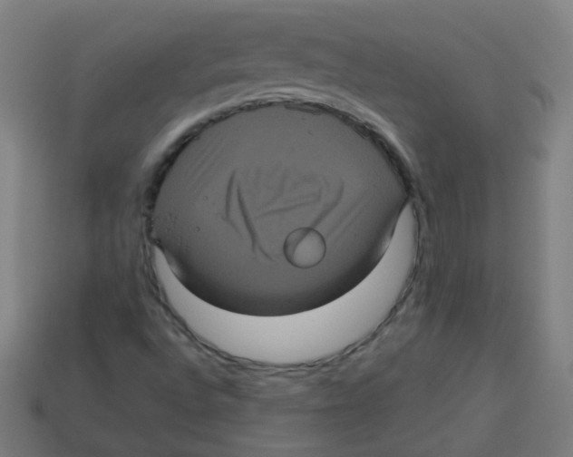 X0000113241496200910081247