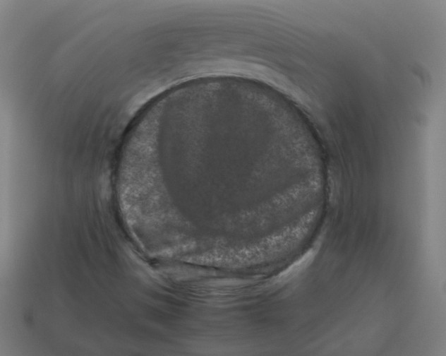 X0000113241497200910081247