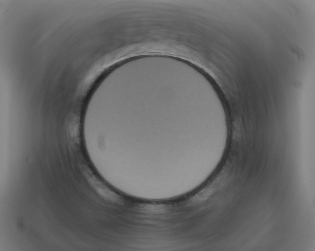 X0000113241499200910081247