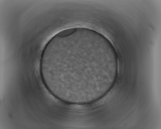 X0000113241500200910081247