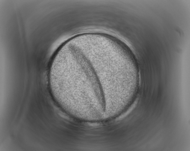 X0000113241501200910081247