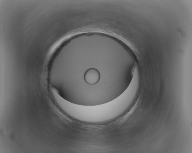 X0000113241502200910081247