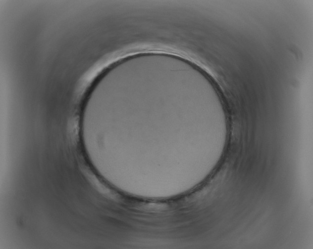 X0000113241503200910081247