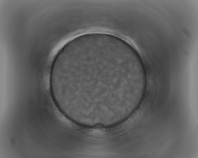 X0000113241504200910081247