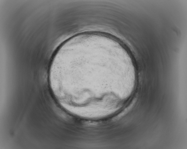 X0000113241505200910081247