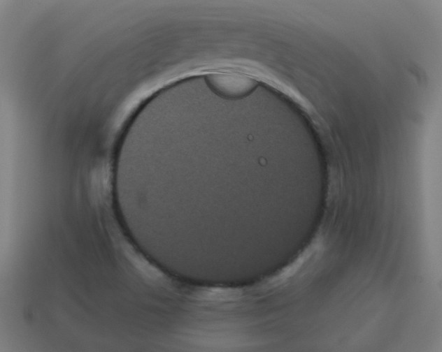 X0000113241506200910081247