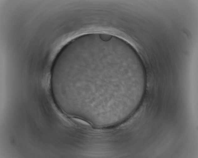 X0000113241507200910081247