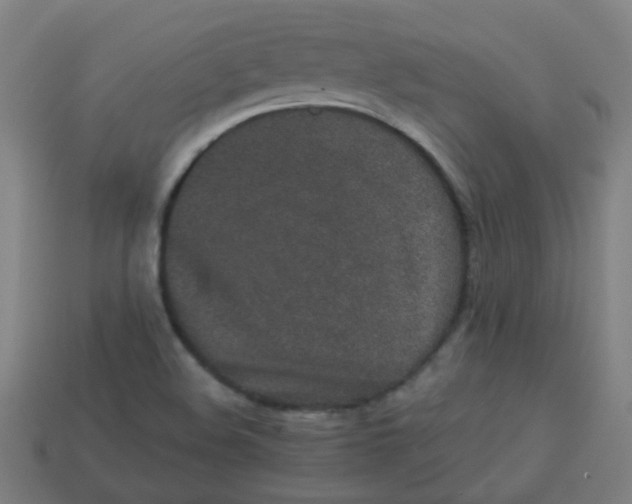 X0000113241508200910081247