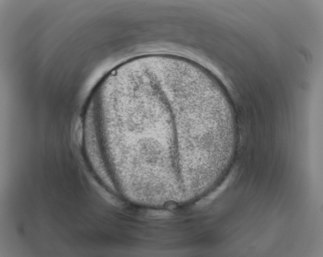 X0000113241509200910081247