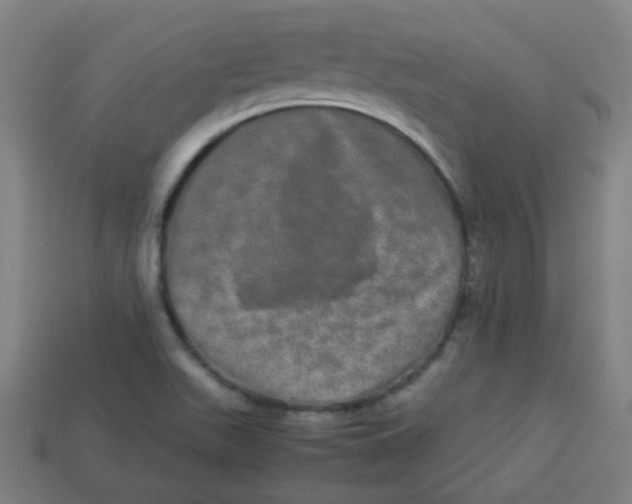 X0000113241511200910081247