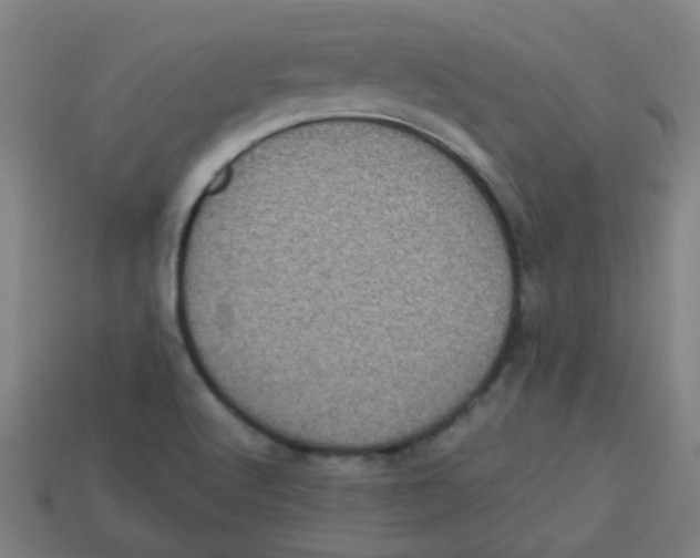 X0000113241512200910081247