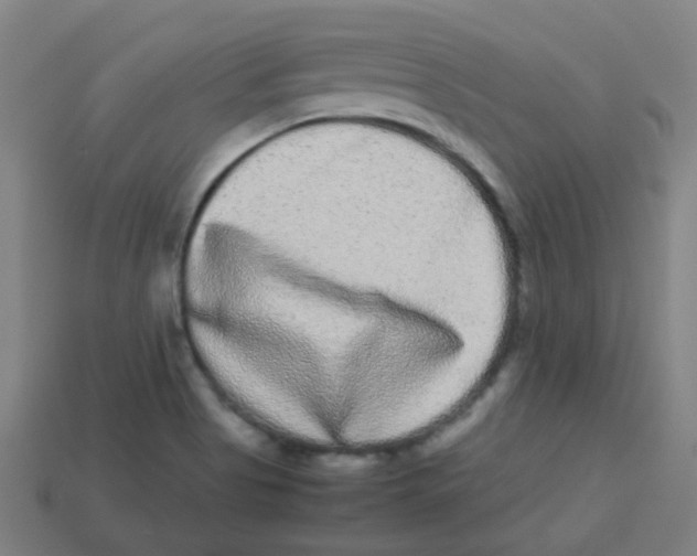 X0000113241513200910081247