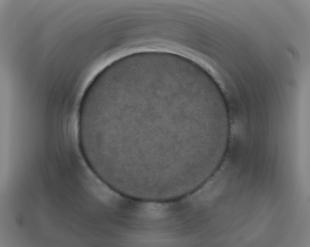 X0000113241514200910081247