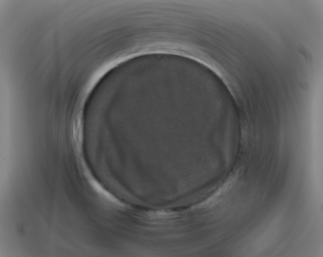 X0000113241515200910081247