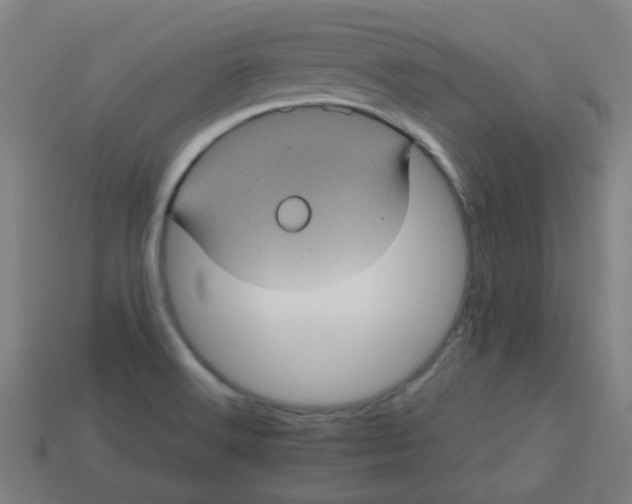 X0000113241516200910081247