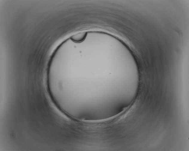 X0000113241518200910081247