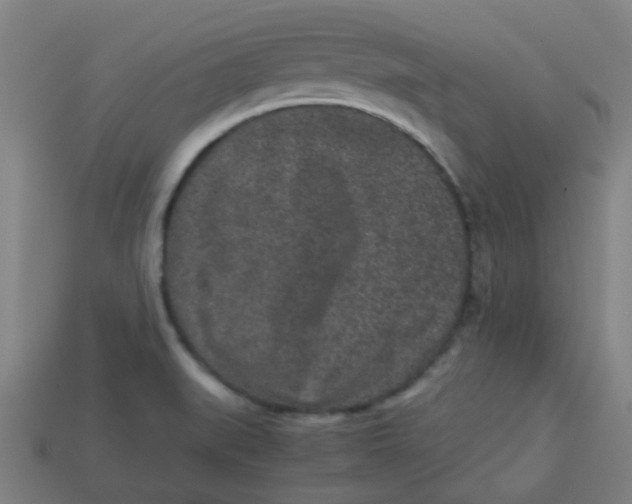 X0000113241519200910081247