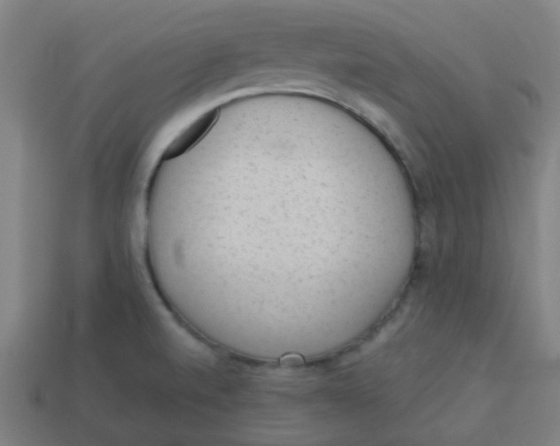 X0000113241520200910081247