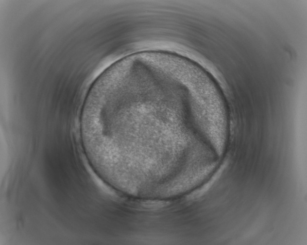 X0000113241521200910081247