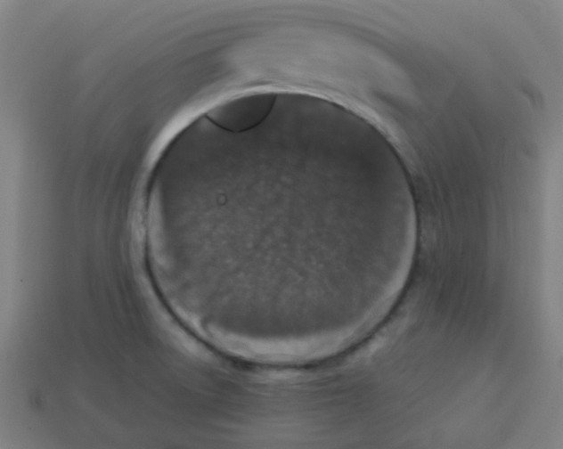 X0000113241522200910081248