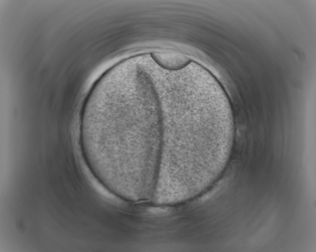 X0000113241523200910081248