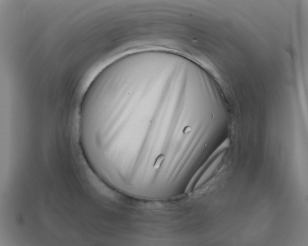 X0000113241524200910081248