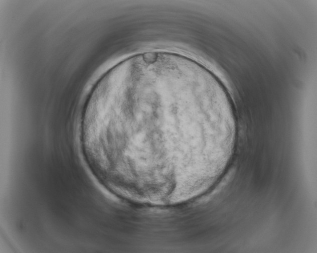 X0000113241525200910081248