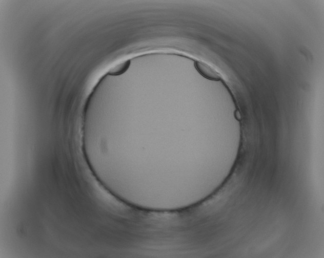 X0000113241526200910081248