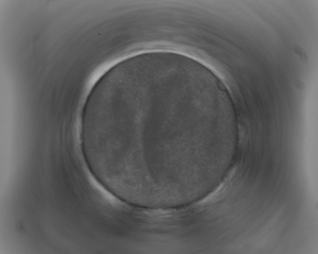 X0000113241527200910081248