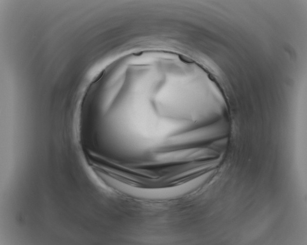 X0000113241528200910081248