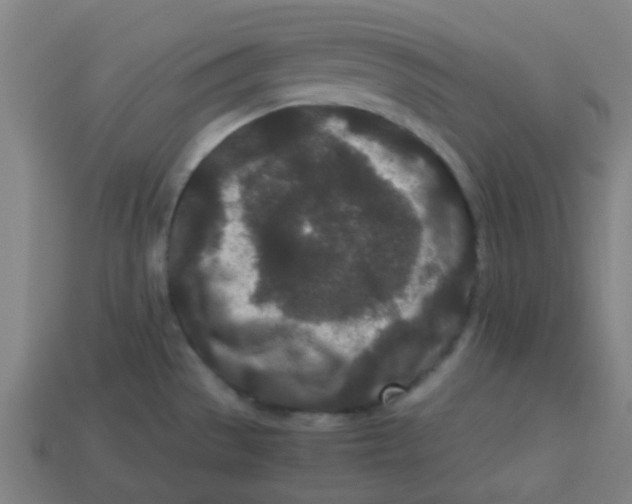 X0000113241529200910081248