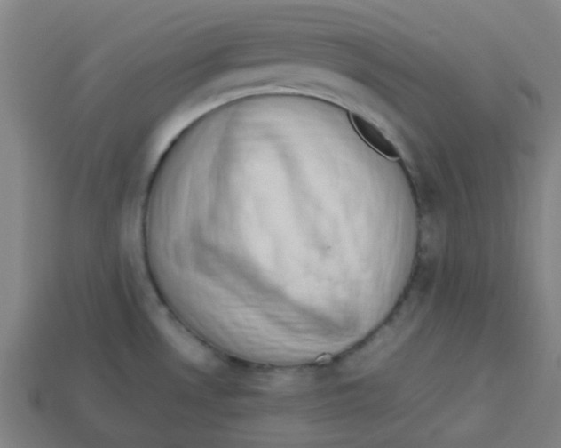 X0000113241530200910081248