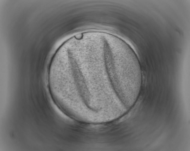 X0000113241531200910081248