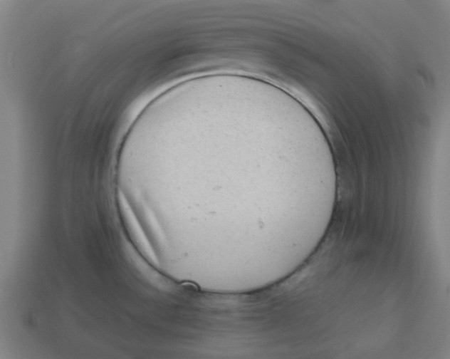 X0000113241532200910081248